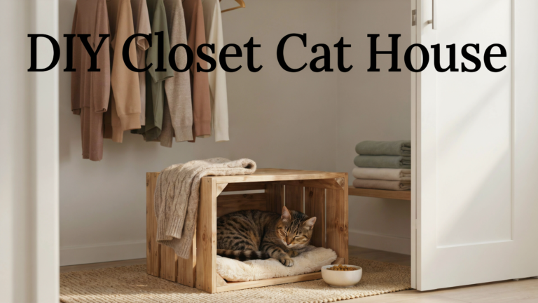 21 DIY Cat House Ideas for 2026: Easy, Cozy & Creative Designs